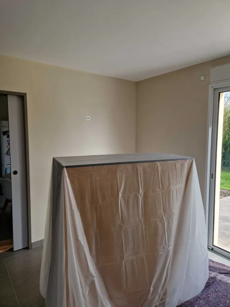 Revêtements muraux (1)